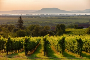 countryside nature landscape